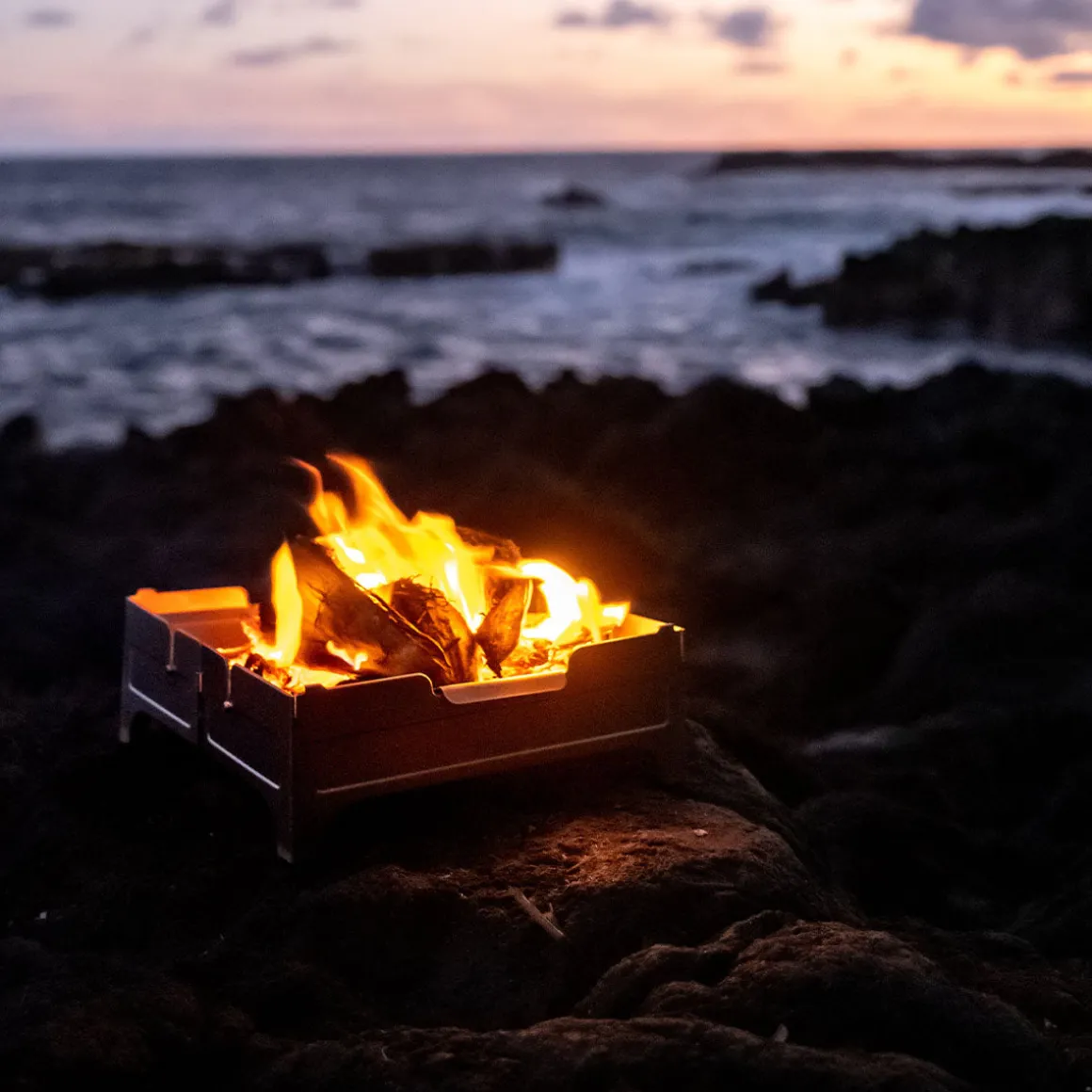 Coffre-fort pour Feu Wolf et Grizzly - Acier Inoxydable
