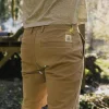 Short en coton bio 365 - Chinchilla Brown